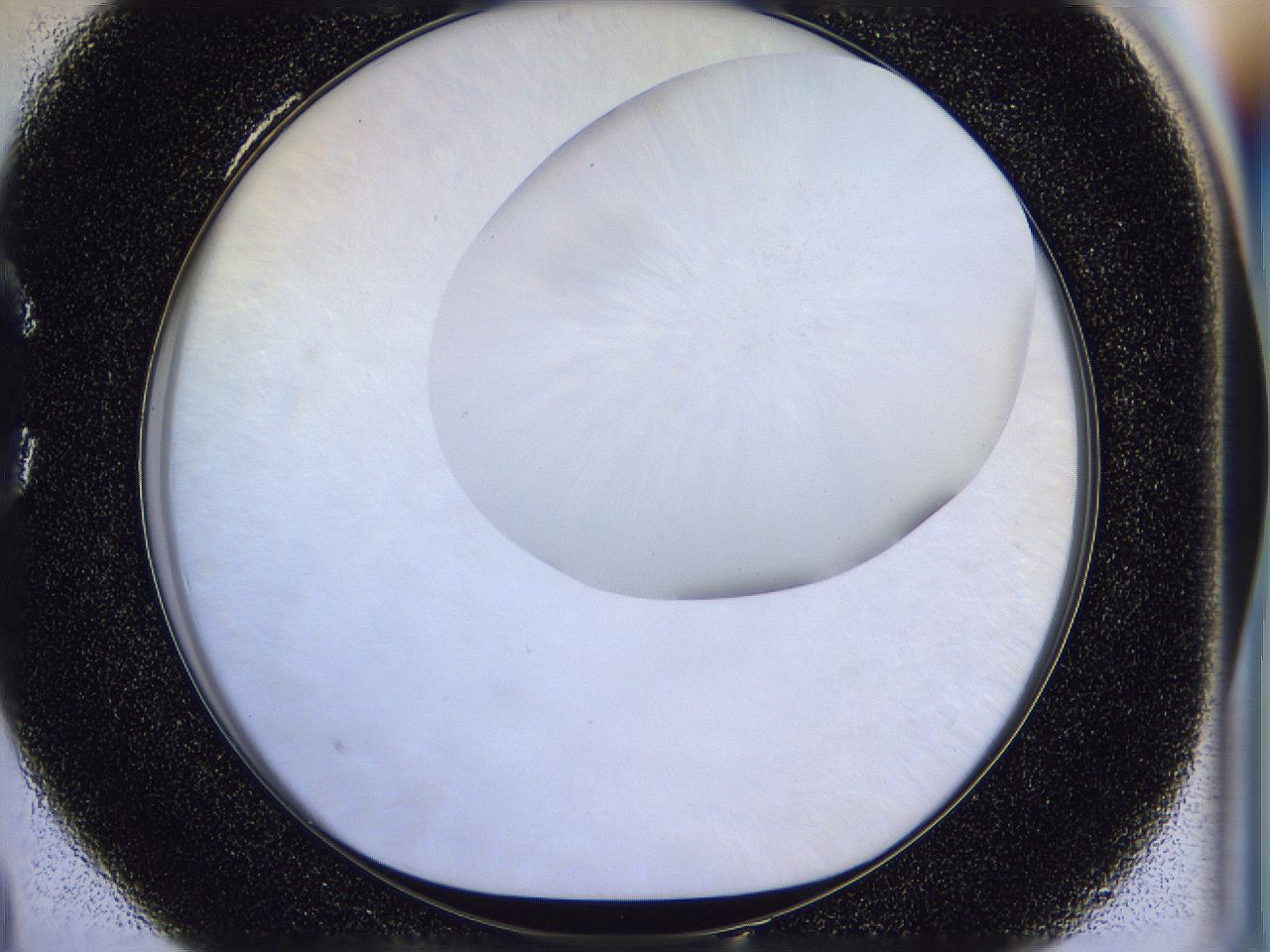 056b_C4_ImagerDefaults_0.jpg