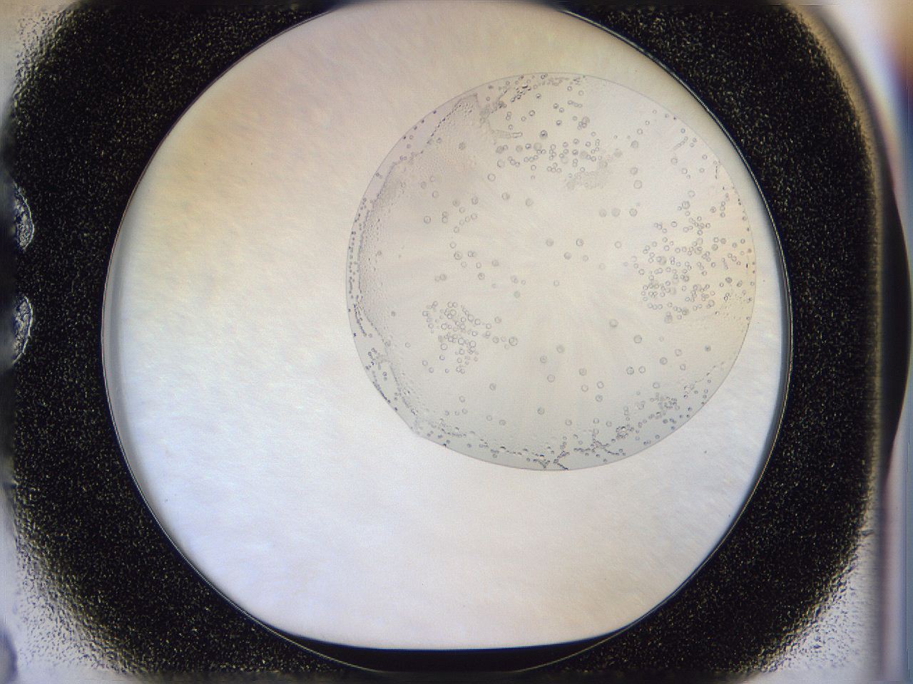 056b_C3_ImagerDefaults_6.jpg