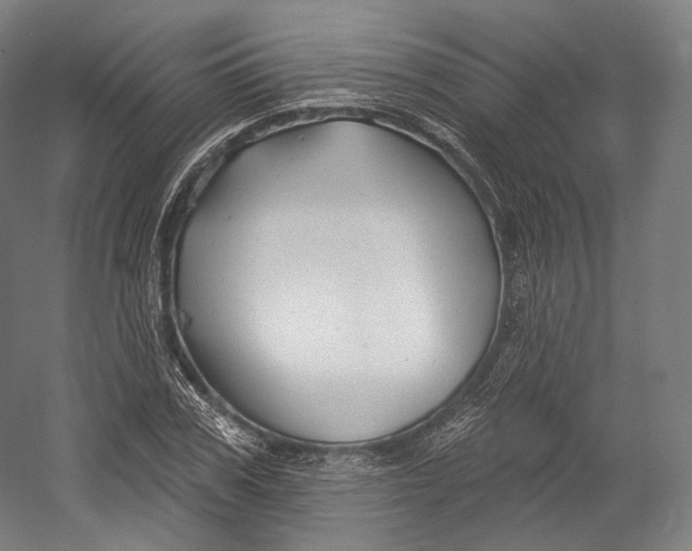 X0000055210979200508301317.png