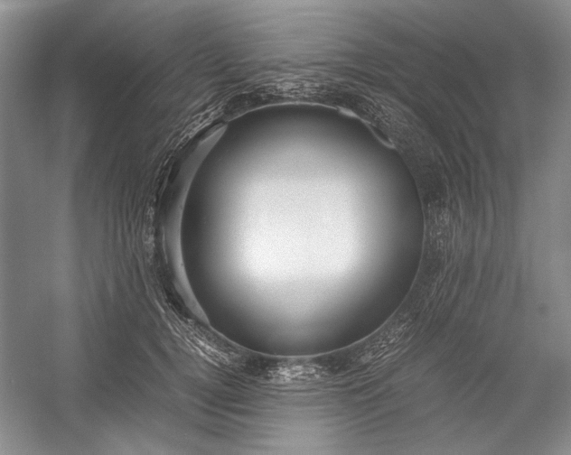 X0000055060752200508161645.png