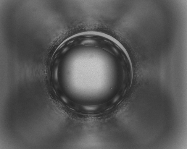 X0000040560501200411021432.png