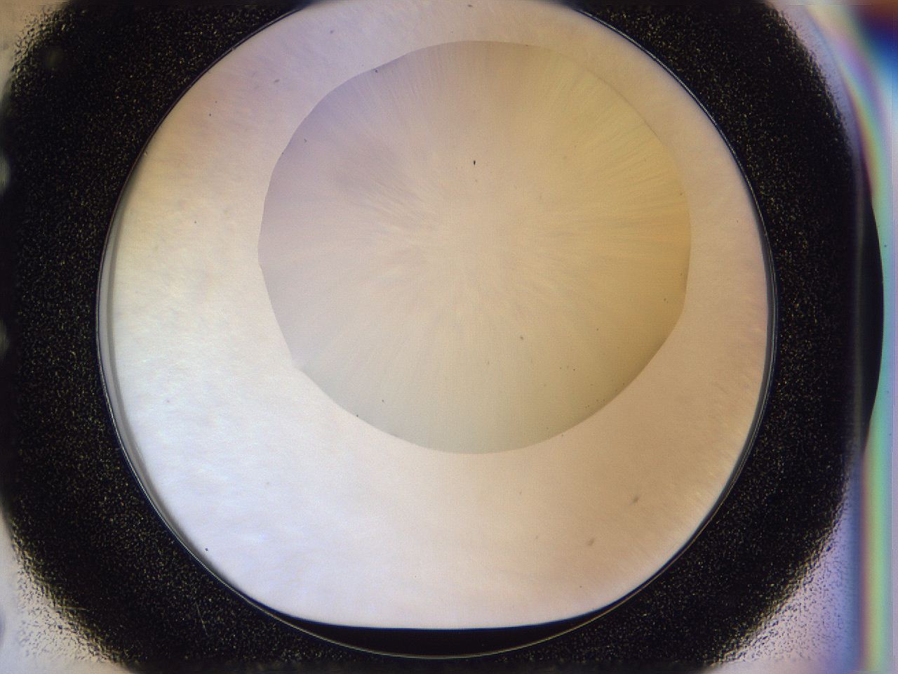 056b_E7_ImagerDefaults_0.jpg