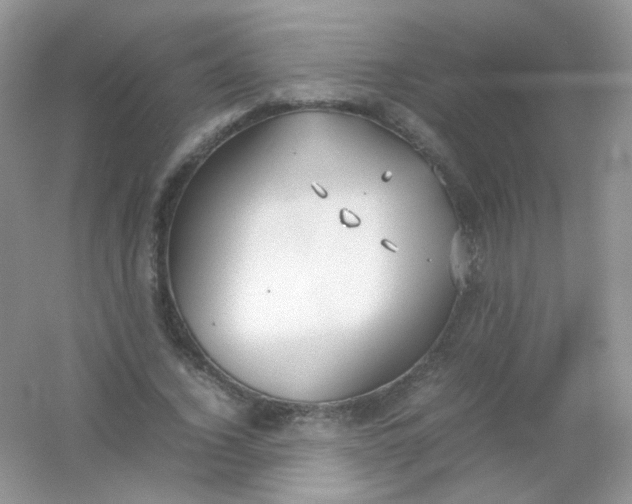 X0000054330732200508111918.png