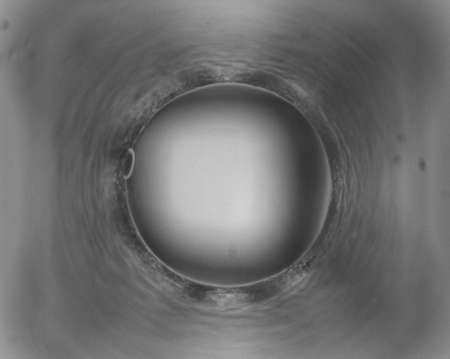 X0000054650221200508091650.png