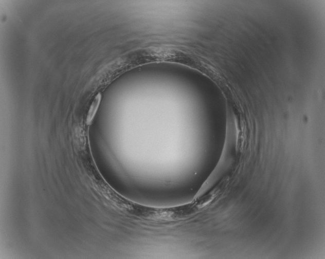 X0000054650609200508091643.png