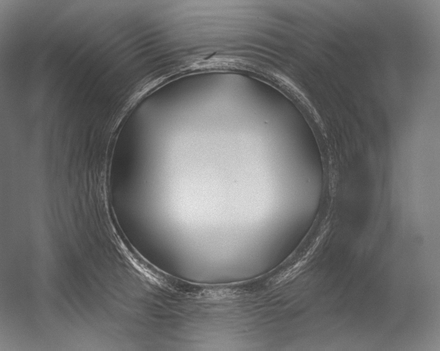 X0000055211041200508301316.png