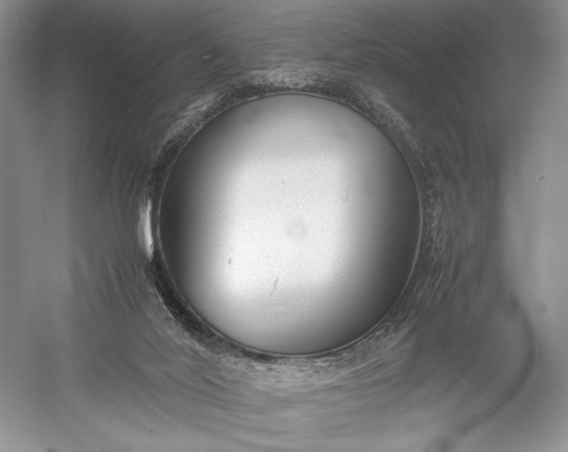 X0000055060020200508161657.png