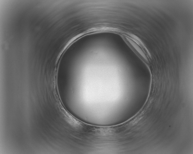X0000055061244200508161637.png