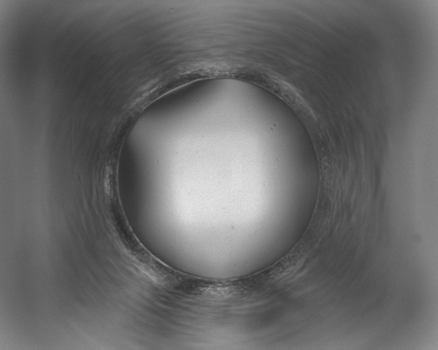 X0000055210071200508301333.png