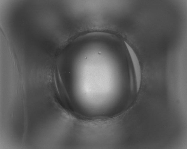 X0000054930017200508291643.png