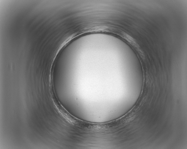 X0000054271234200508261907.png