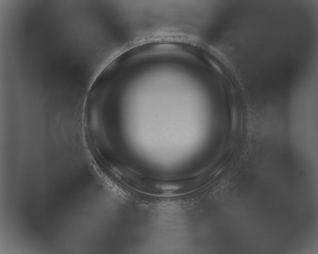 X0000052731378200507141534.png