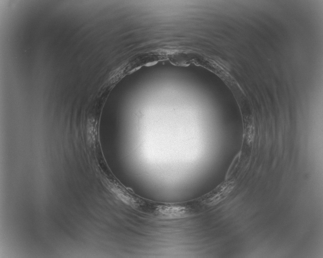 X0000055060476200508161650.png