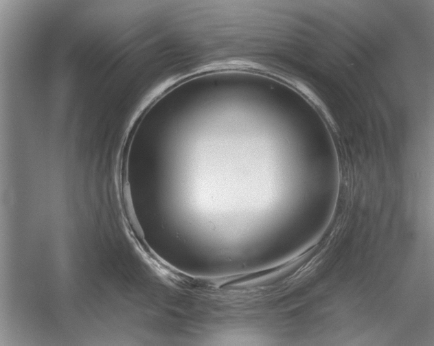 X0000055061054200508161640.png