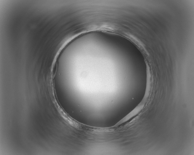 X0000055061200200508161637.png