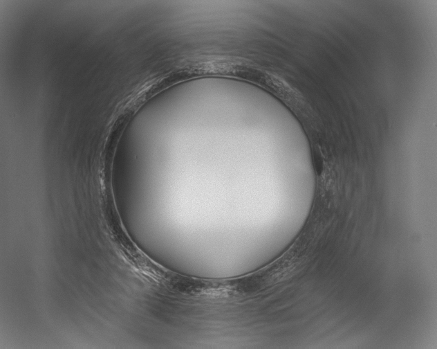 X0000055210306200508301329.png