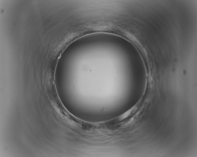 X0000054650201200508091650.png