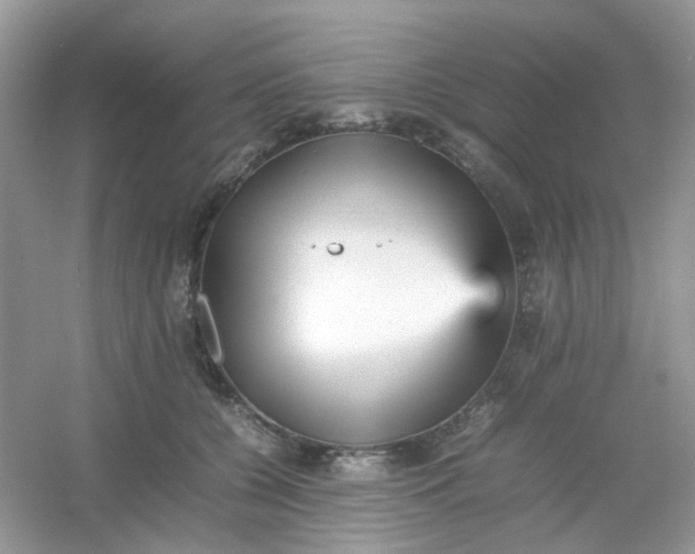 X0000054330560200508111922.png