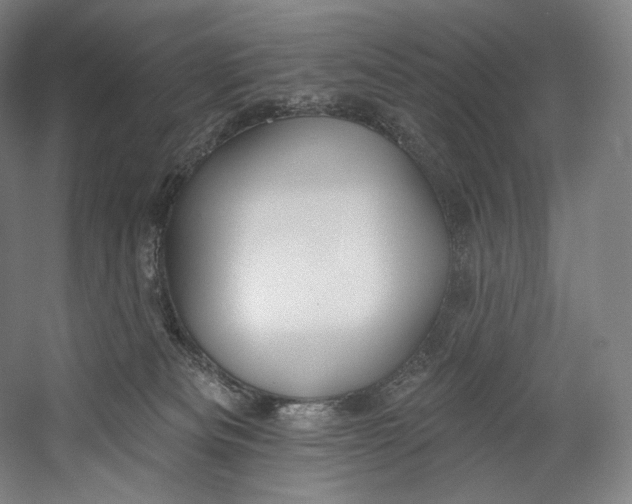 X0000055210133200508301332.png