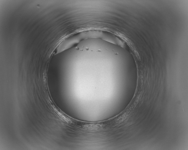 X0000055211185200508301314.png