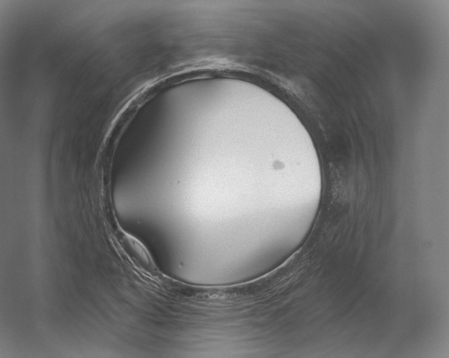 X0000055211318200508301311.png