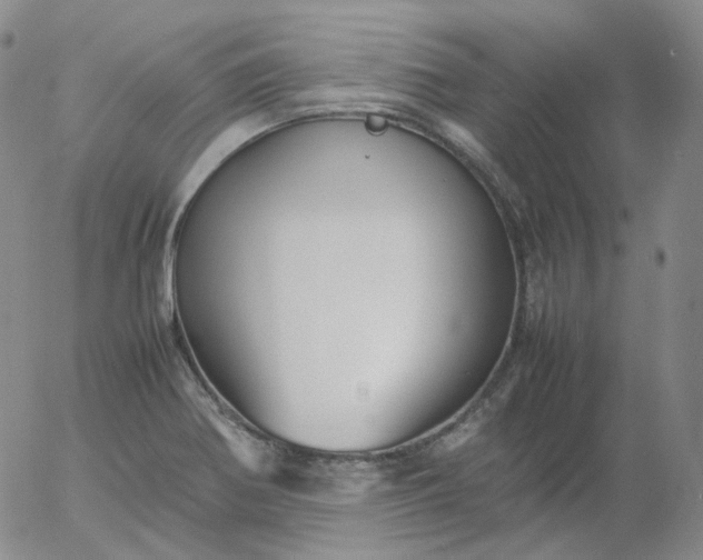 X0000054651370200508091630.png
