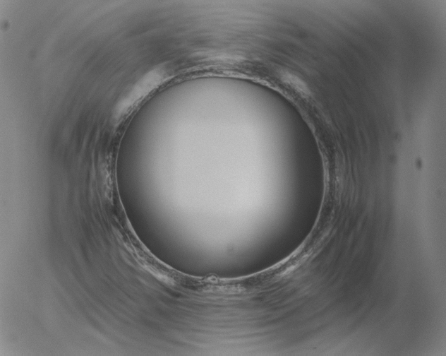 X0000054651354200508091631.png
