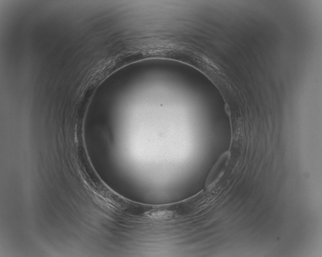 X0000055210452200508301326.png