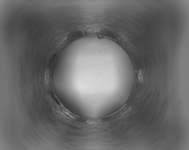 X0000055211299200508301311.png