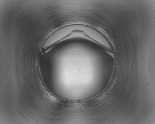 X0000055210993200508301317.png