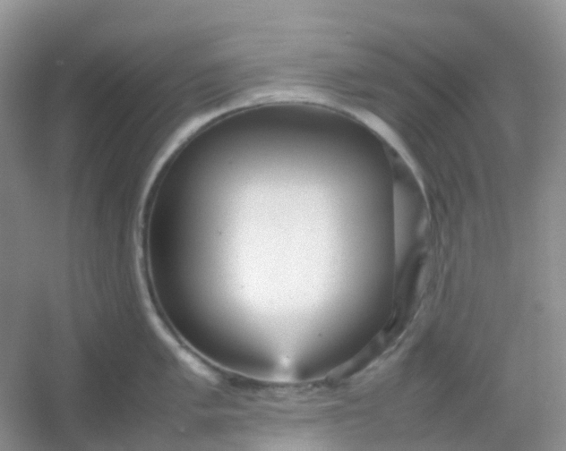 X0000054331005200508111914.png