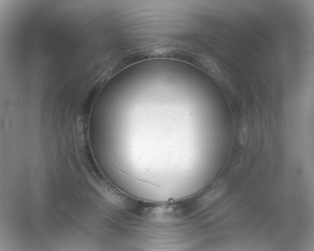 X0000054330366200508111925.png