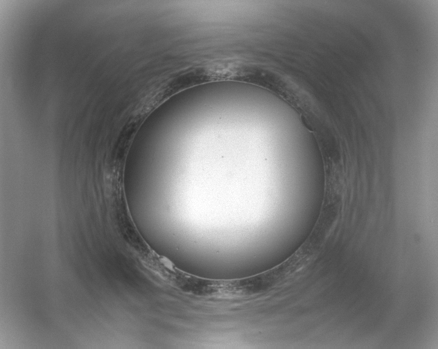 X0000054330601200508111921.png