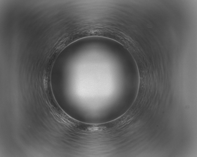 X0000055210558200508301324.png
