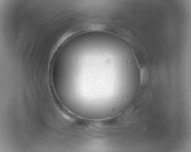 X0000054330195200508111928.png