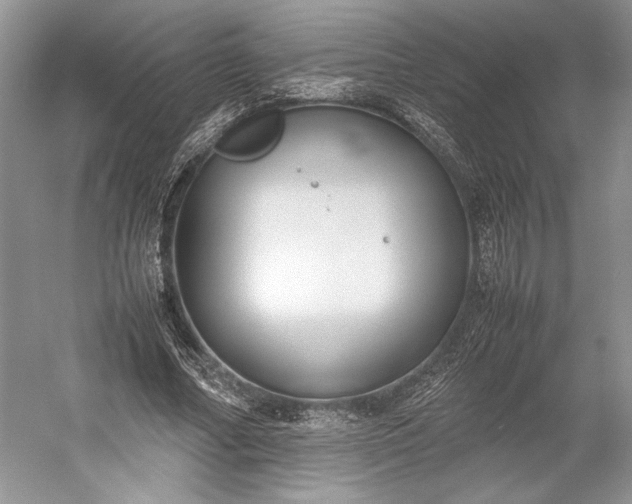 X0000055060682200508161646.png