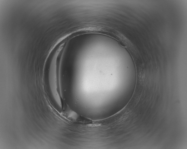 X0000055210484200508301326.png
