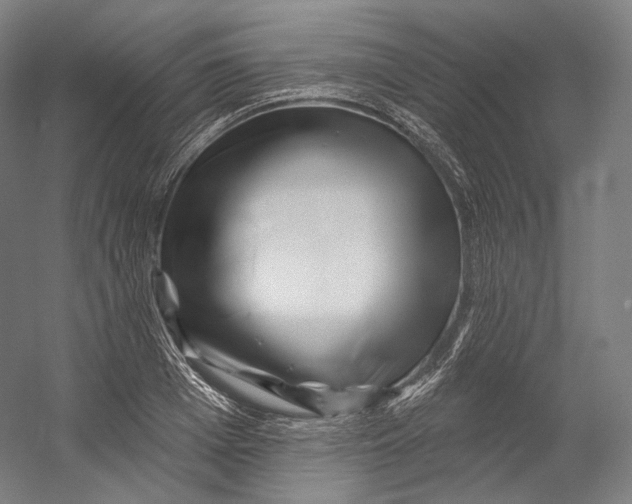 X0000055210985200508301317.png