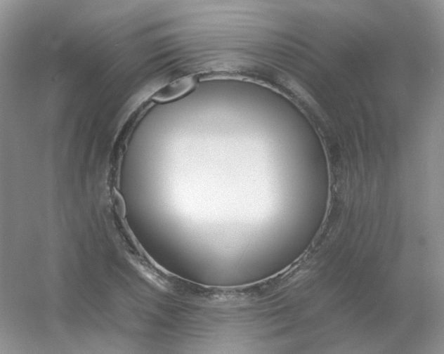 X0000054331026200508111913.png