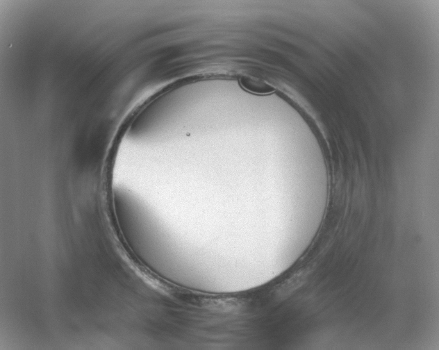 X0000054331045200508111914.png