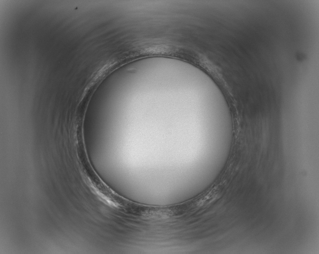 X0000055210106200508301332.png