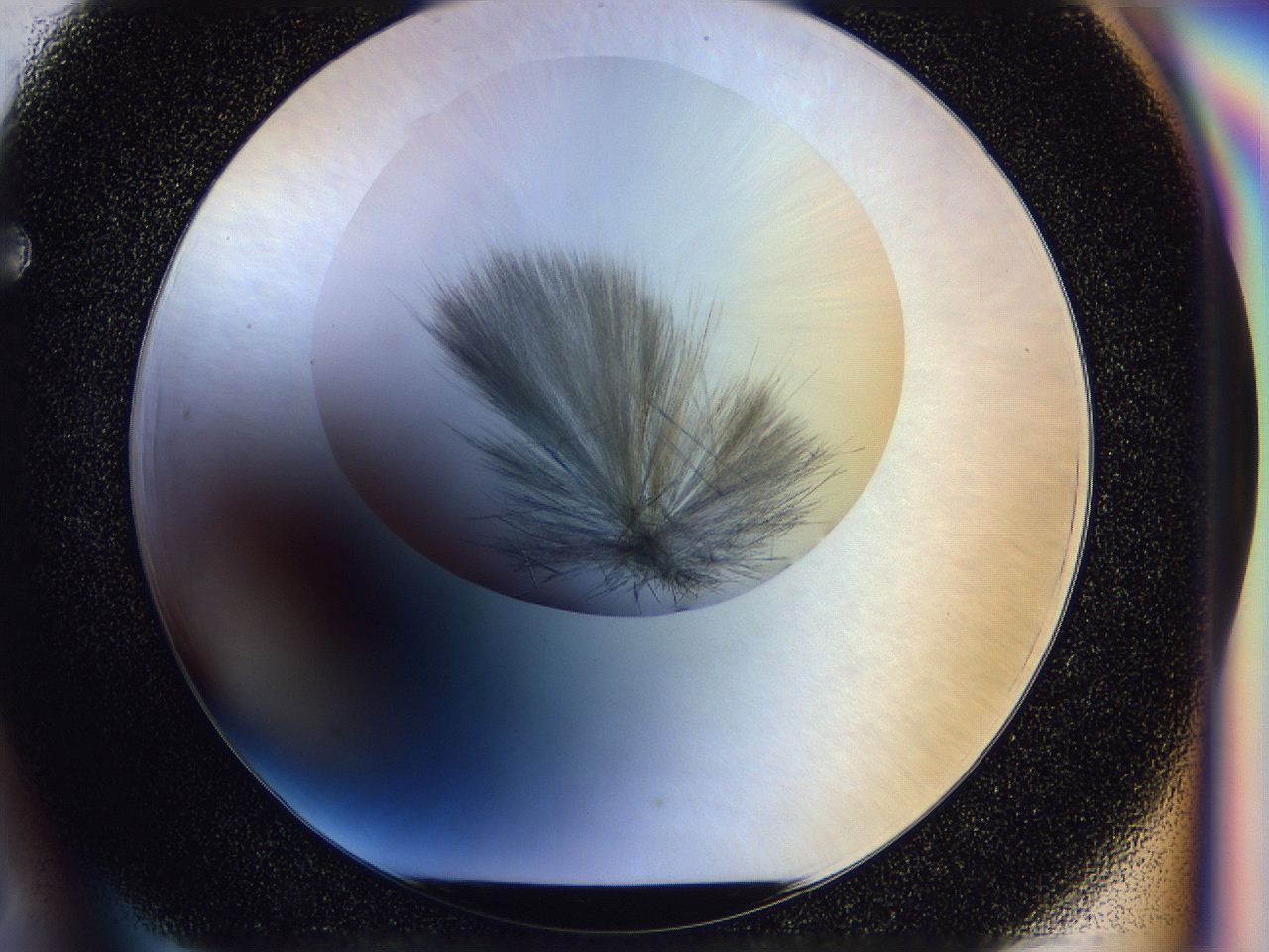 056b_F6_ImagerDefaults_7.jpg
