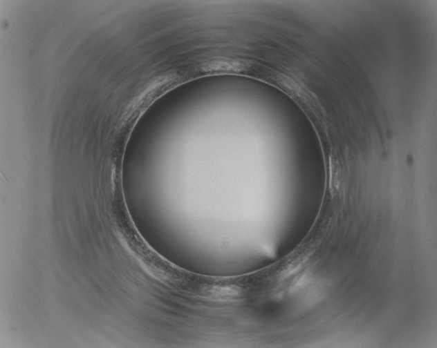 X0000054650157200508091650.png