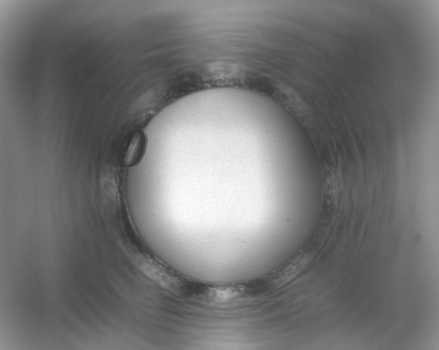 X0000054330662200508111920.png