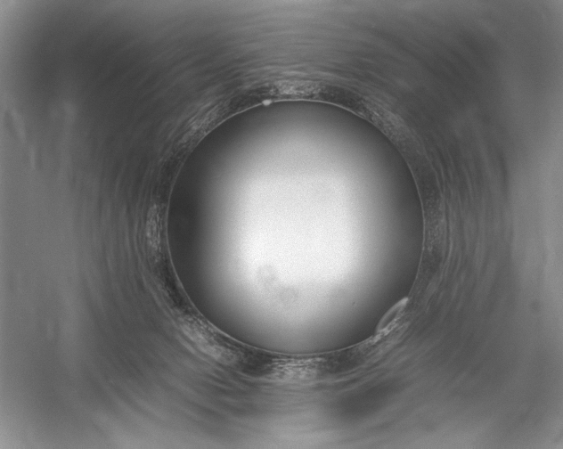 X0000055060078200508161657.png