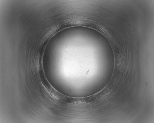 X0000055060586200508161648.png