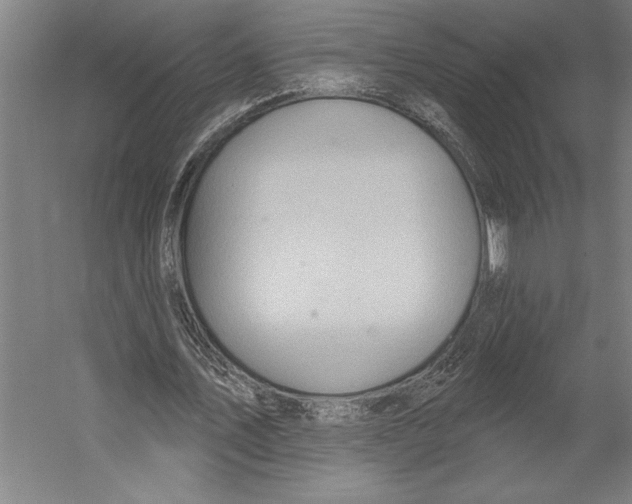 X0000055250579200509071618.png
