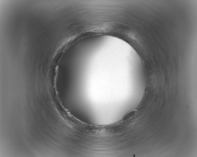 X0000054330688200508111919.png