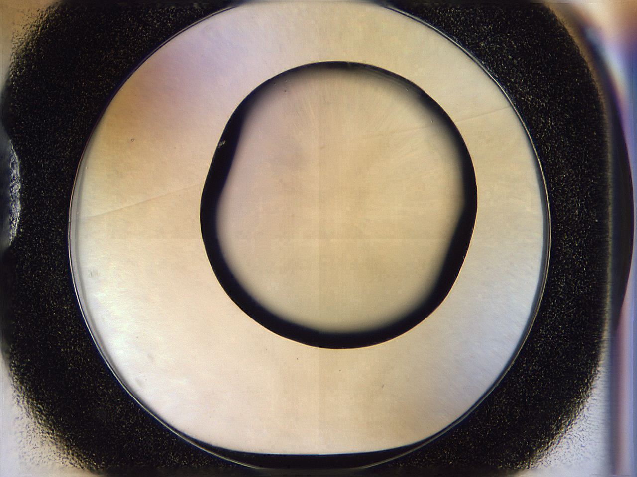 056b_D1_ImagerDefaults_0.jpg