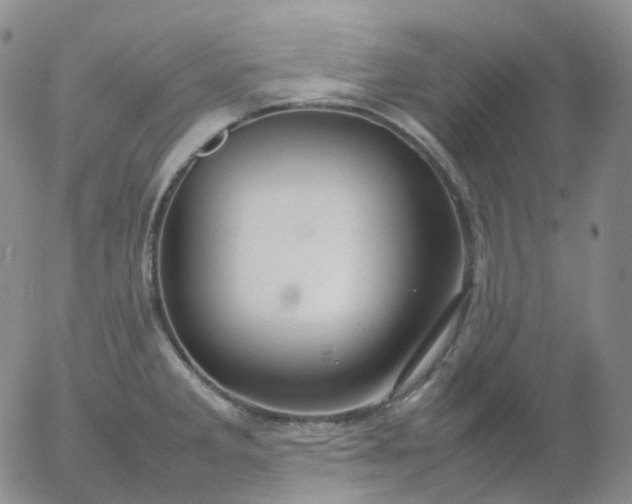 X0000054651285200508091632.png